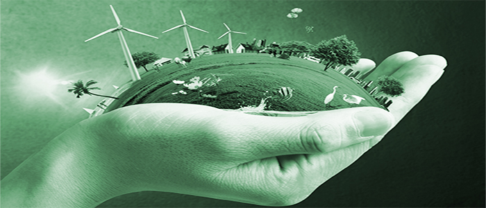 Modelo de competencias en sostenibilidad ambiental