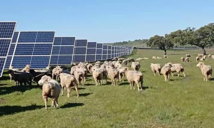 El informe de sostenibilidad de una planta fotovoltaica