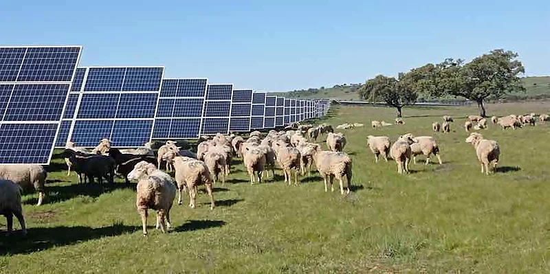El informe de sostenibilidad de una planta fotovoltaica