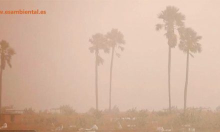 La contaminación aire polvo suspensión: qué es, casos y efectos