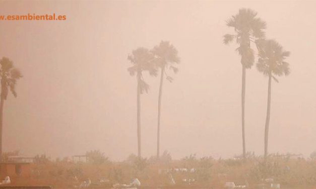 La contaminación aire polvo suspensión: qué es, casos y efectos