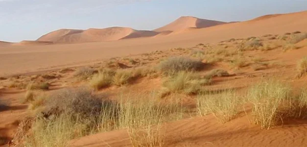¿Sabes todo esto sobre el cambio climático?