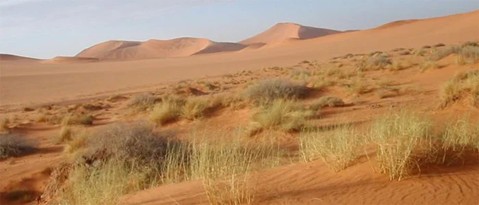 ¿Sabes todo esto sobre el cambio climático?