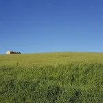 ¿Qué es y cómo se realiza un calculo de huella de carbono?