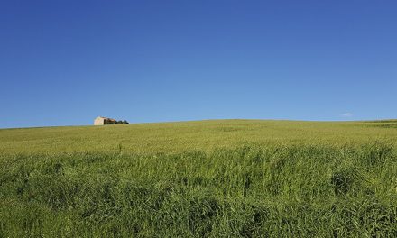 Los beneficios de la huella de carbono en agricultura