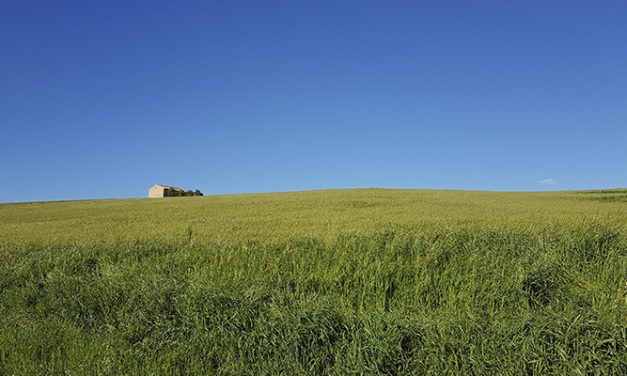 Los beneficios de la huella de carbono en agricultura