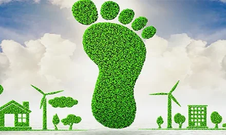 Los factores de emisión para la huella de carbono en España