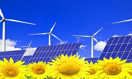 ¿Se debe invertir en huella de carbono?