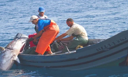 Conxemar se refiere a la sostenibilidad ambiental de la pesca