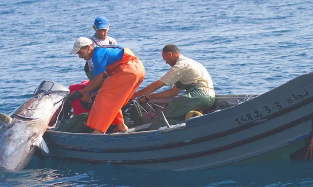 Conxemar se refiere a la sostenibilidad ambiental de la pesca