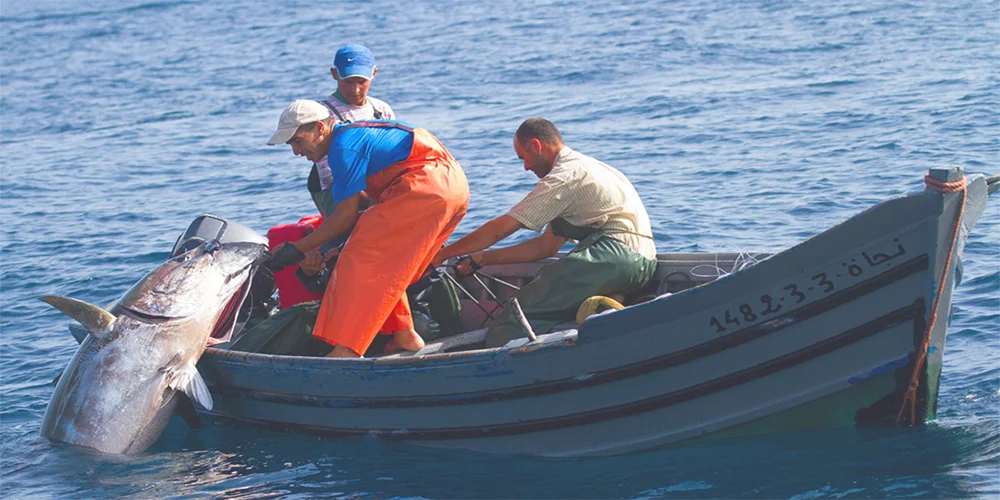 Conxemar se refiere a la sostenibilidad ambiental de la pesca