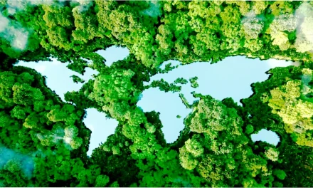 El día mundial del medio ambiente: cuando  y por qué