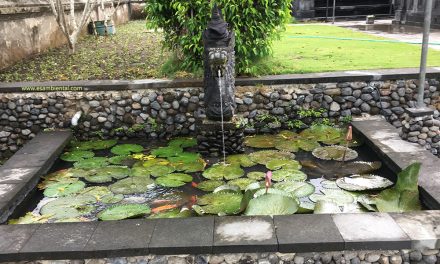 Todo sobre soluciones basadas en naturaleza