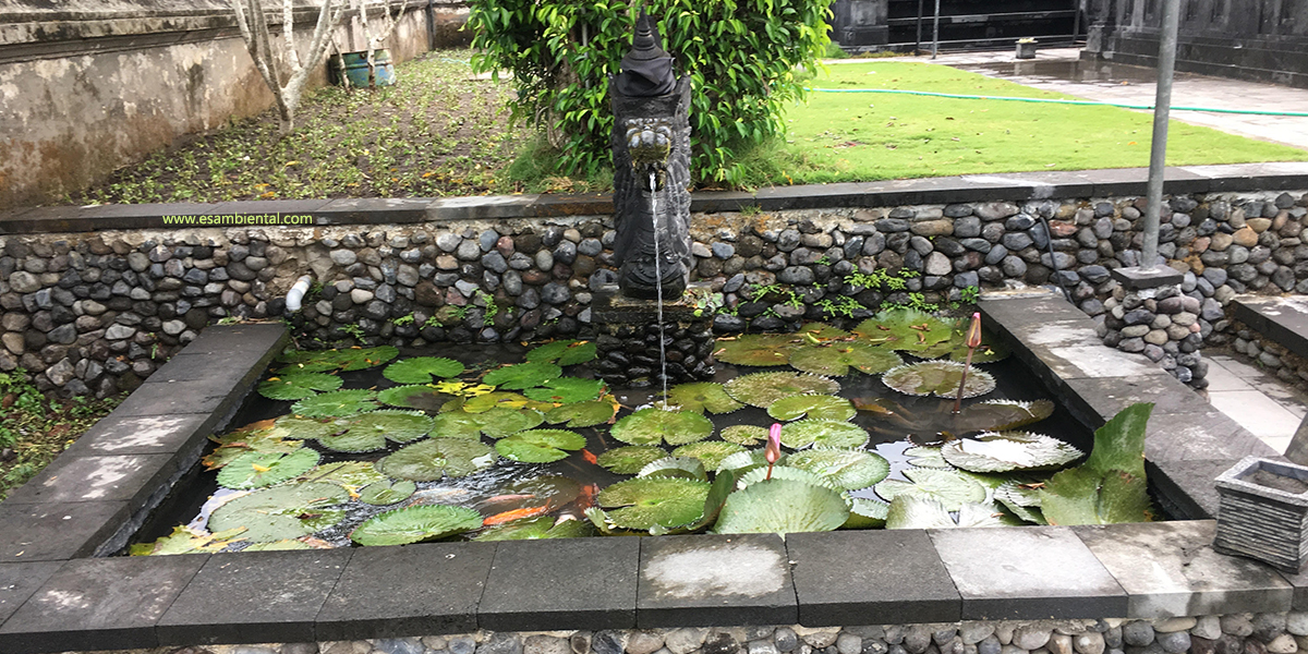 Todo sobre soluciones basadas en naturaleza