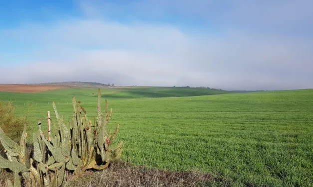 La sostenibilidad ambiental en agricultura