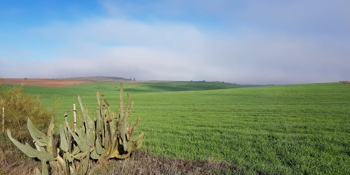 La sostenibilidad ambiental en agricultura
