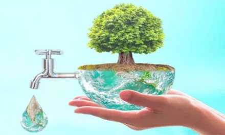 ¿Por qué estudiar un curso de sostenibilidad ambiental en 2023?