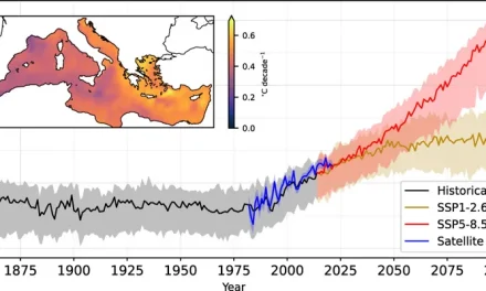 La ola de calor y las infraestructuras urbanas para afrontarla
