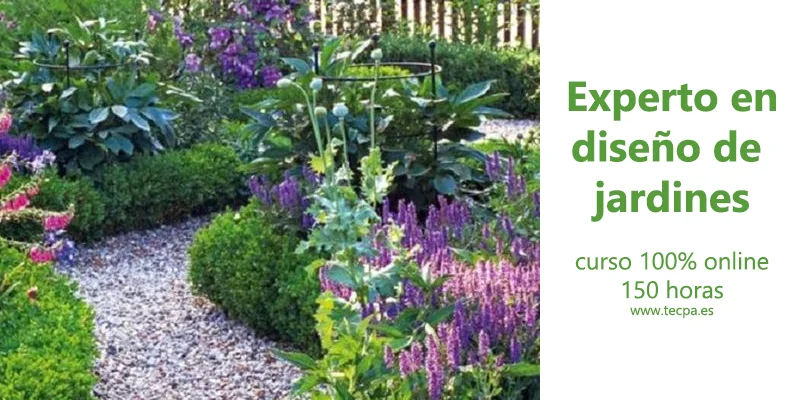 curso experto en diseño de jardines 150h