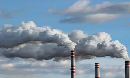 Empresas que luchan contra la huella de carbono