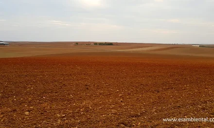 Cursos de sostenibilidad ambiental en agricultura y recursos naturales
