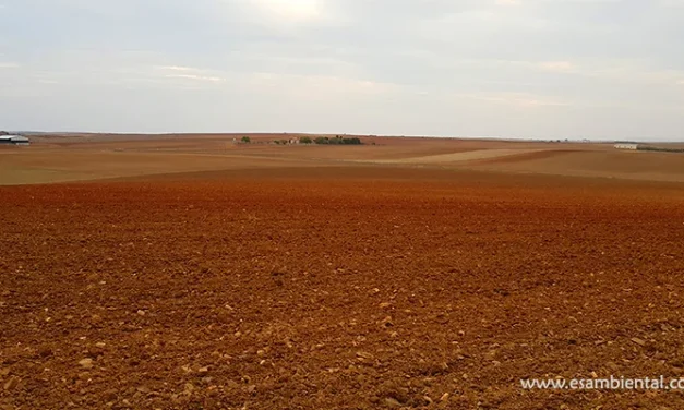 Cursos de sostenibilidad ambiental en agricultura y recursos naturales