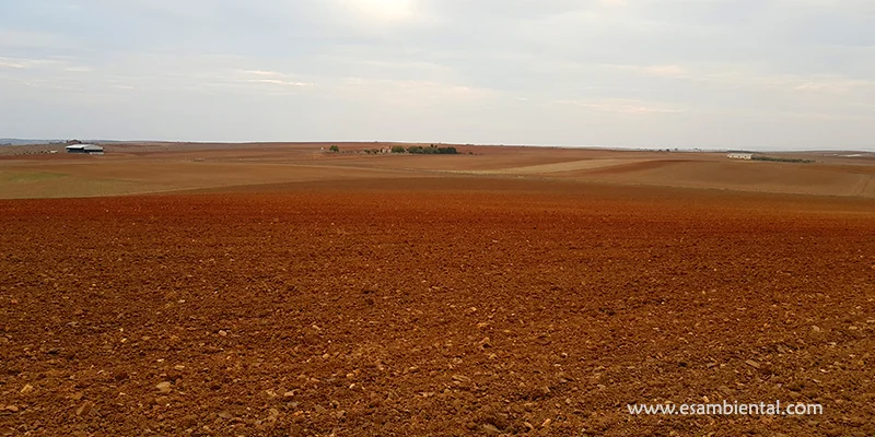 Cursos de sostenibilidad ambiental en agricultura y recursos naturales