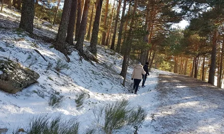Escasa ayuda de la nieve en el cambio climático