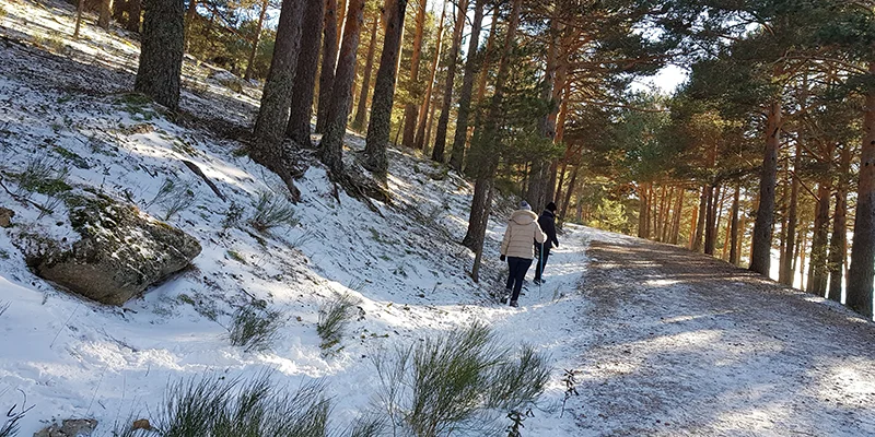 Escasa ayuda de la nieve en el cambio climático