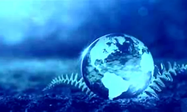 El Proyecto Envri Hub Next avanza en ciencias ambientales multidisciplinarias