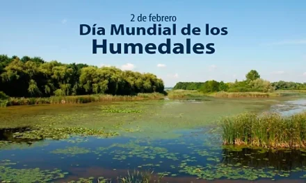 El día de los humedales 2024