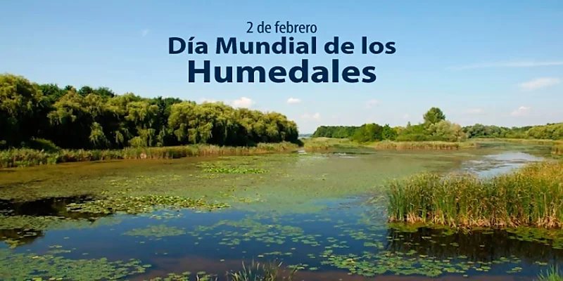 El día de los humedales 2024