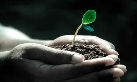 Cómo escribir la memoria de sostenibilidad ambiental paso a paso