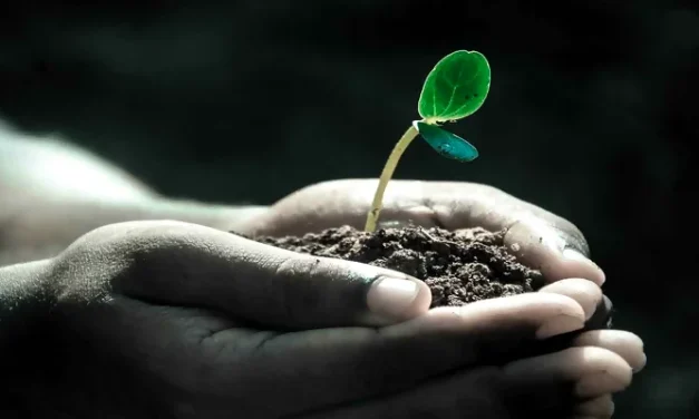 Cómo escribir la memoria de sostenibilidad ambiental paso a paso