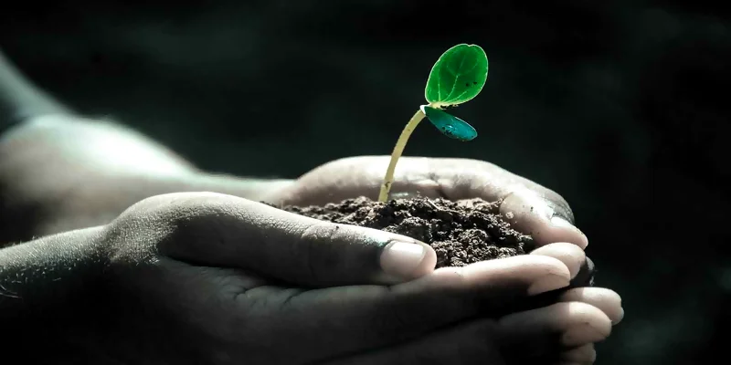 Cómo escribir la memoria de sostenibilidad ambiental paso a paso
