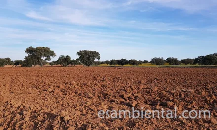 La importancia de la gestión sostenible del agua en agricultura moderna