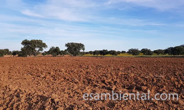 La importancia de la gestión sostenible del agua en agricultura moderna