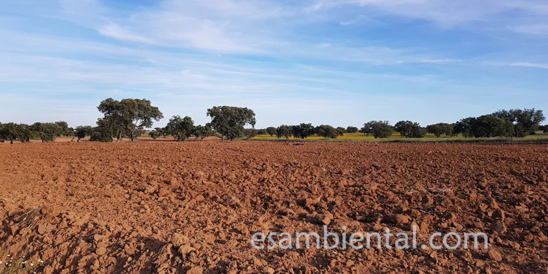 La importancia de la gestión sostenible del agua en agricultura moderna