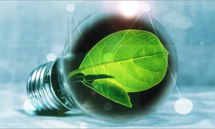 Cómo hacer una declaración ambiental paso a paso