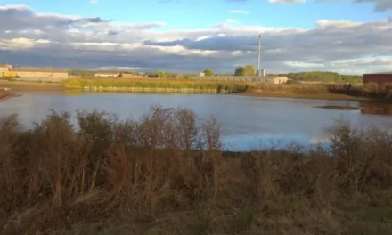 Controversia en la planta de biometano en Segovia