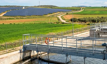 Progreso en la divulgación financiera relacionada con la naturaleza