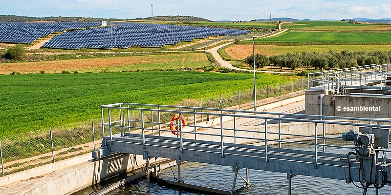 Grandes grupos empresariales encargan la captura de carbono con un presupuesto millonario